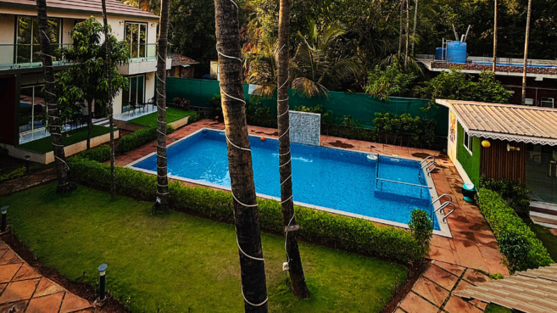 tipsy spring resort swimming pool