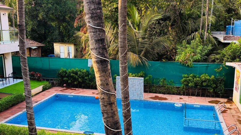 Tipsy Spring Resort With Swimming Pool