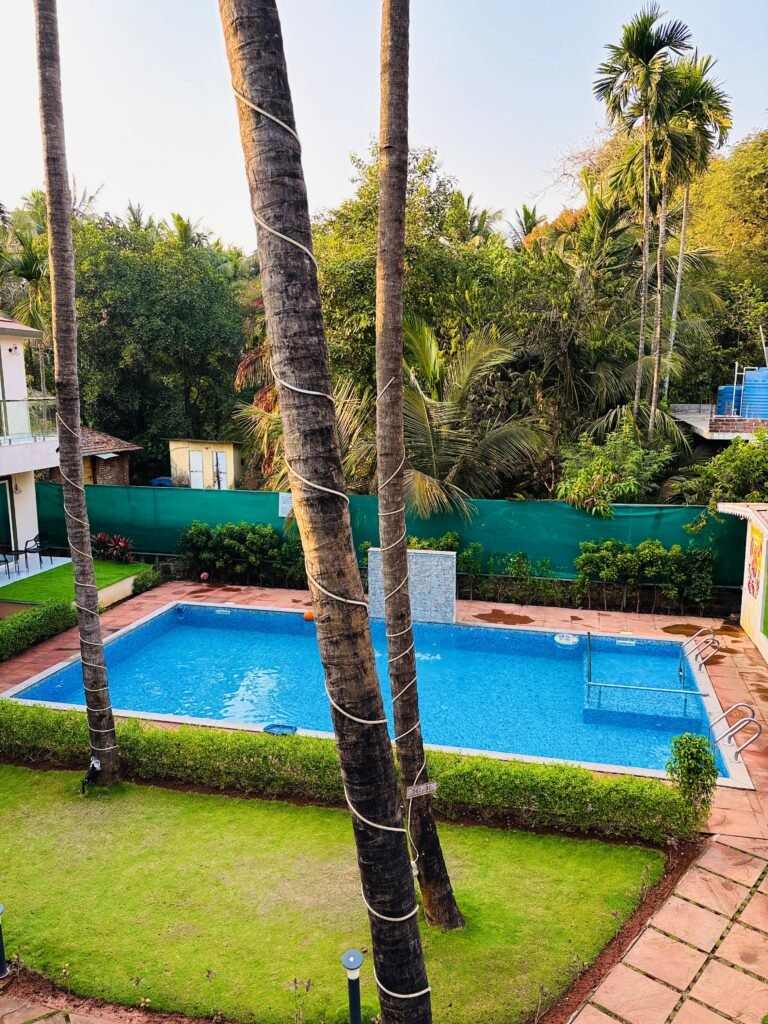 Tipsy Spring Resort swimming pool