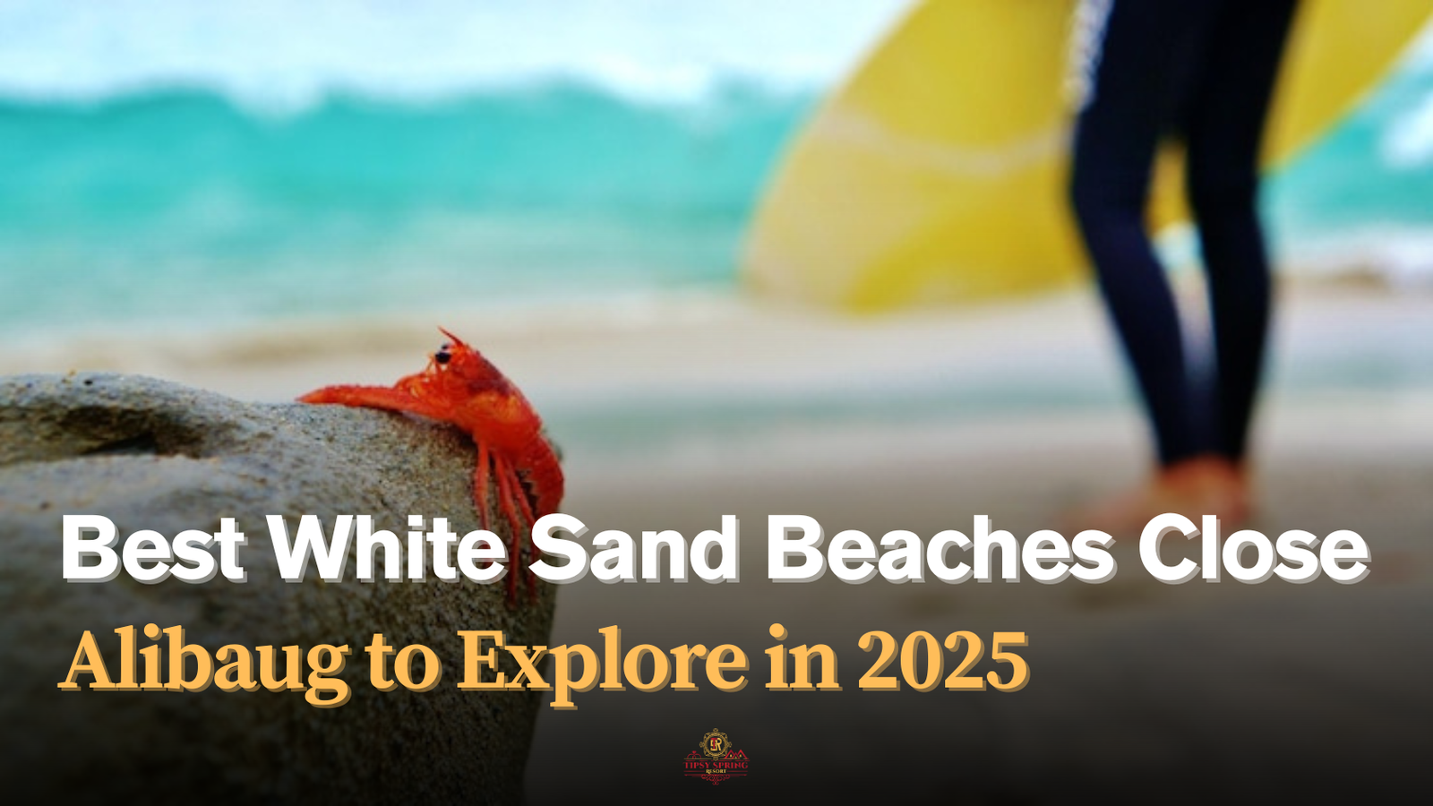 Best White Sand Beaches Close to Alibaug to Explore in 2025